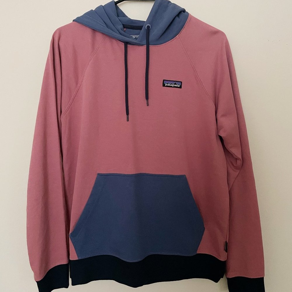 Patagonia Pink and Blue Organic Cotton Hoodie